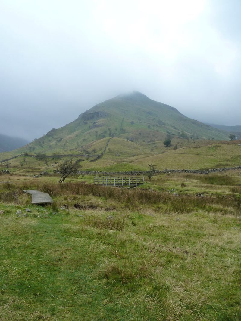 Middle Dodd